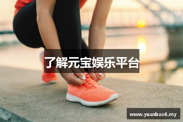了解元宝娱乐平台